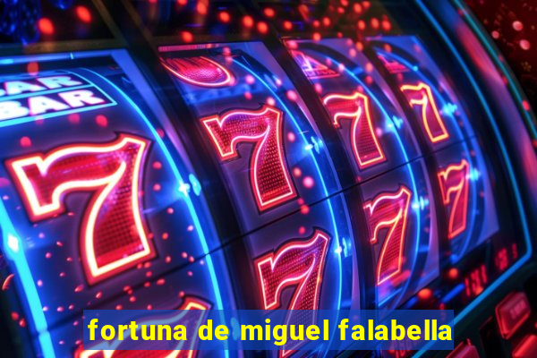 fortuna de miguel falabella